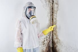 Best Mold Odor Removal Services  in Inkster, MI